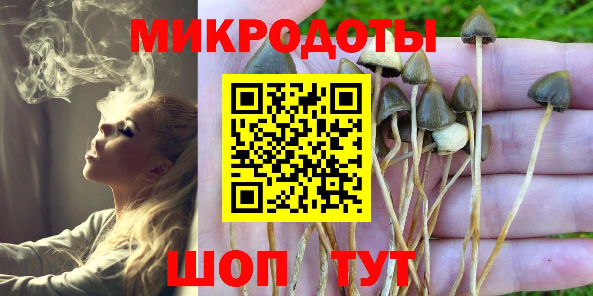 Кимовск  Галлюциногенные грибы MAGIC MUSHROOMS  Вход с VPN  Галлюциногенные грибы Cubensis 